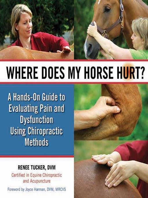 Title details for Where Does My Horse Hurt? by Renee Tucker - Available